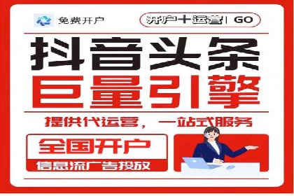 信息流广告代理项目案例分析